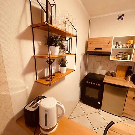 Apartamenty Ktw Park Slaski Luksusowy Prl Katowice Bagian luar foto