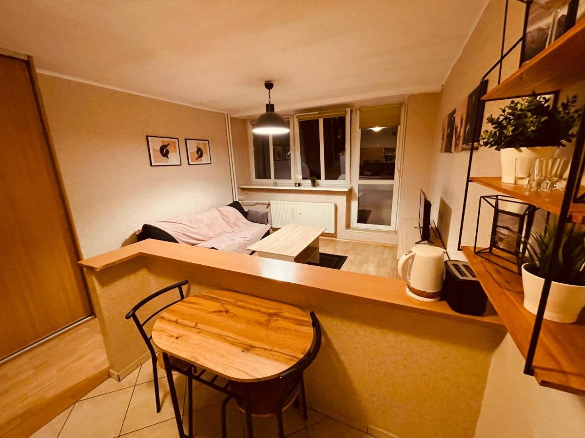 Apartamenty Ktw Park Slaski Luksusowy Prl Katowice Bagian luar foto