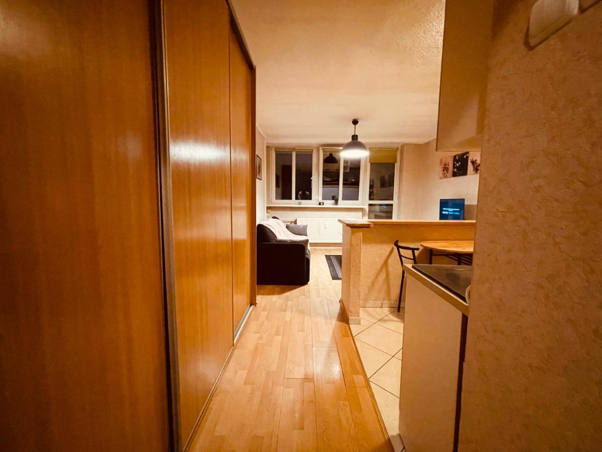 Apartamenty Ktw Park Slaski Luksusowy Prl Katowice Bagian luar foto