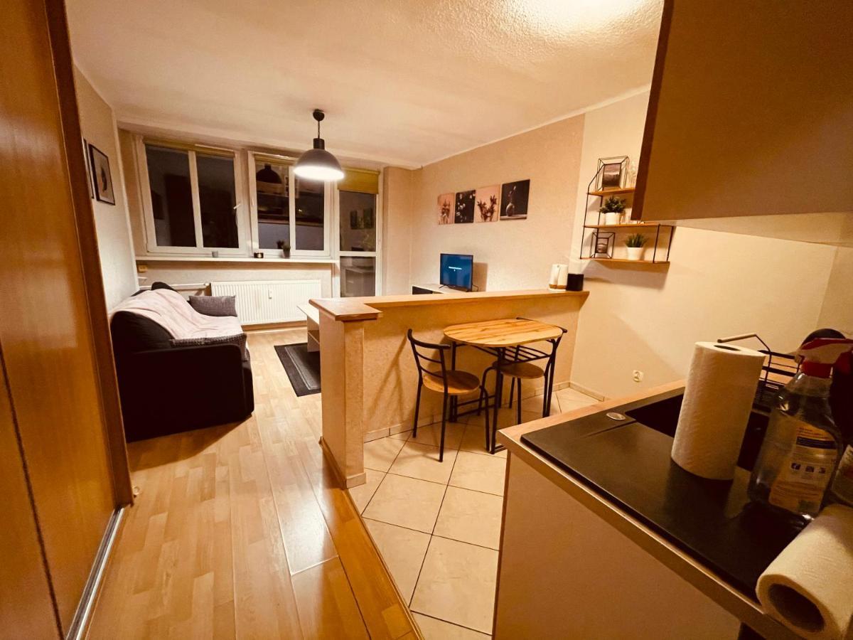 Apartamenty Ktw Park Slaski Luksusowy Prl Katowice Bagian luar foto